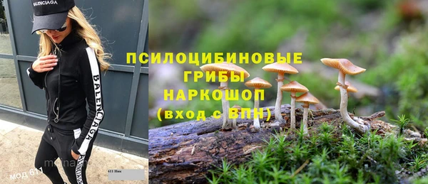 гидропоника Абаза
