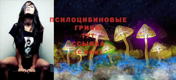 гидропоника Абаза
