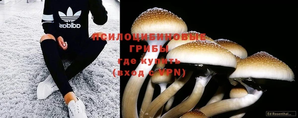 гидропоника Абаза