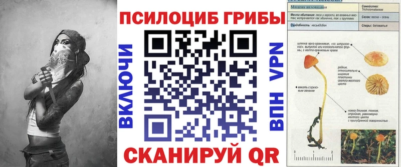 Псилоцибиновые грибы ЛСД  Усть-Кут 