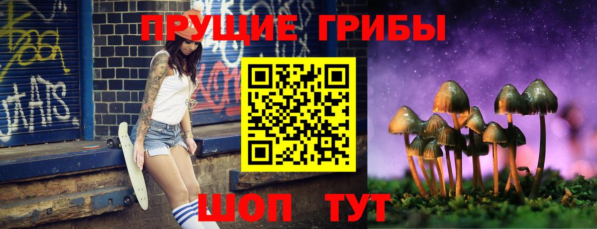 Псилоцибиновые грибы прущие грибы Усть-Кут