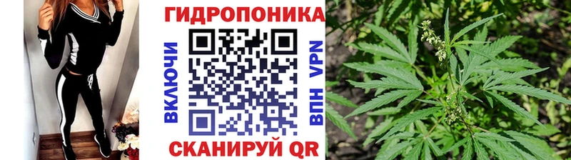 Канабис LSD WEED  мега как зайти  Усть-Кут 